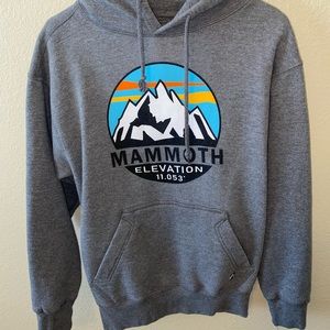 Grey Hoodie from Mammoth!